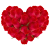 كلمات 17