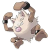 Pokémon 22