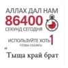 NAVAR CHAT 26