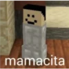 Minecraft 26