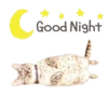 Nala & White Coffee Cat 30