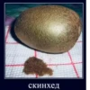 OrhFqRF_by_achestickbot 6