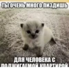 OrhFqRF_by_achestickbot 7