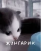 Not Hehe 7