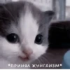 Not Hehe 8