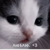 Not Hehe 9