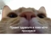 mem 8