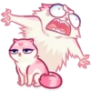 Pussy Cat 9