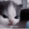 Not Hehe 12
