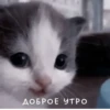 Not Hehe 13