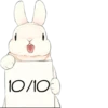 Rabbits 9