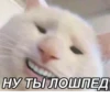 mem 10