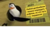 mem 11