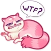 Pussy Cat 12