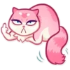 Pussy Cat 13