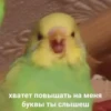 mem 14