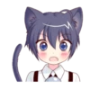 Boy of the black cat which moves 15