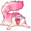 Pussy Cat 14