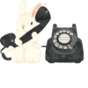 Rabbits 16