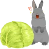 Rabbits 20