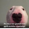 mem 20