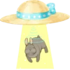 Rabbits 24
