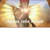 mem 28