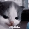 Not Hehe 28