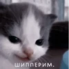 Not Hehe 30
