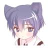 Boy of the black cat which moves 21
