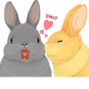 Rabbits 28
