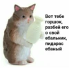 mem 29