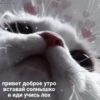 ☞︎︎︎ mood putin ☜︎︎︎ @ssukeban :: 5
