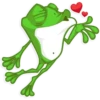 Mr. Green Frogo 6