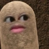 kentang is potato 5