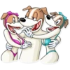 Party Dog 9