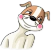 Party Dog 11