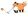 Numsiri fox 8