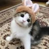 Meow (=ↀWↀ=)✧ 10