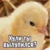РАНДОМ 🎲 ⬅ 🔞 6