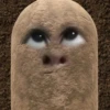 kentang is potato 8