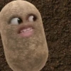 kentang is potato 12