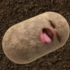 kentang is potato 13