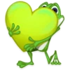 Mr. Green Frogo 11