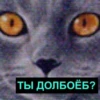 ТЫ ДОЛБОЁБ?