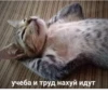 РАНДОМ 🎲 ⬅ 🔞 13