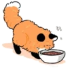 Numsiri fox 11