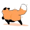 Numsiri fox 13