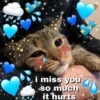 Meow (=ↀWↀ=)✧ 19