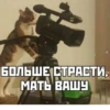 РАНДОМ 🎲 ⬅ 🔞 16